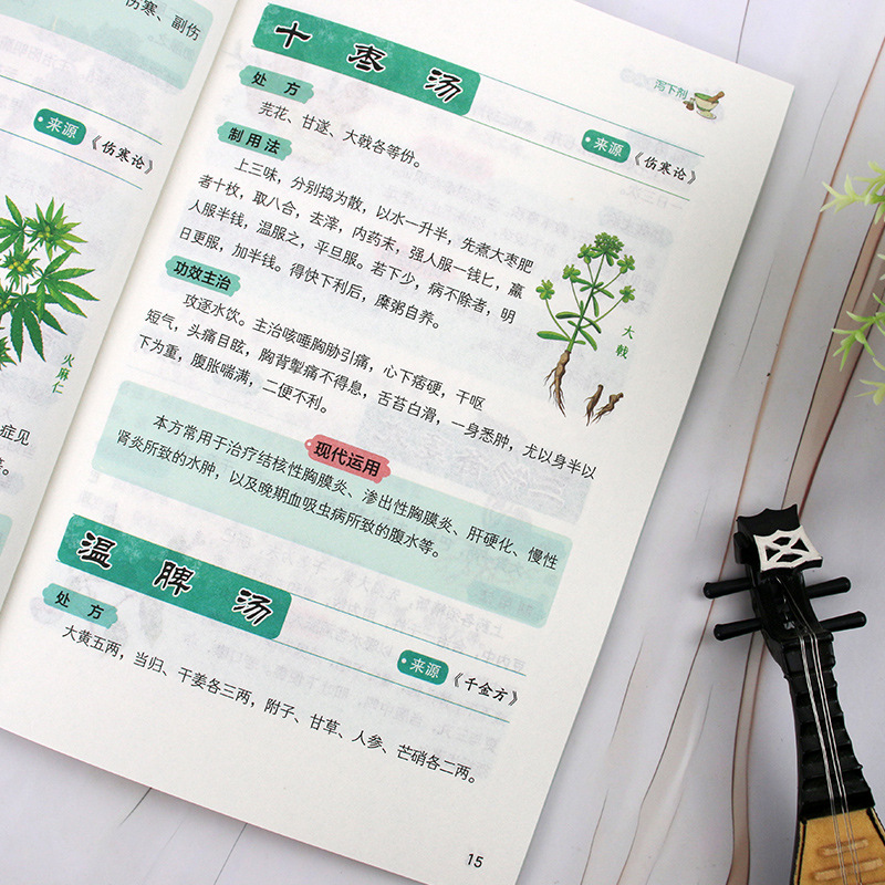 伝統的な中国医学の特別処方と健康ウェルネス |   血液と気 - Herbal Wellness Remedy のレビューと価格